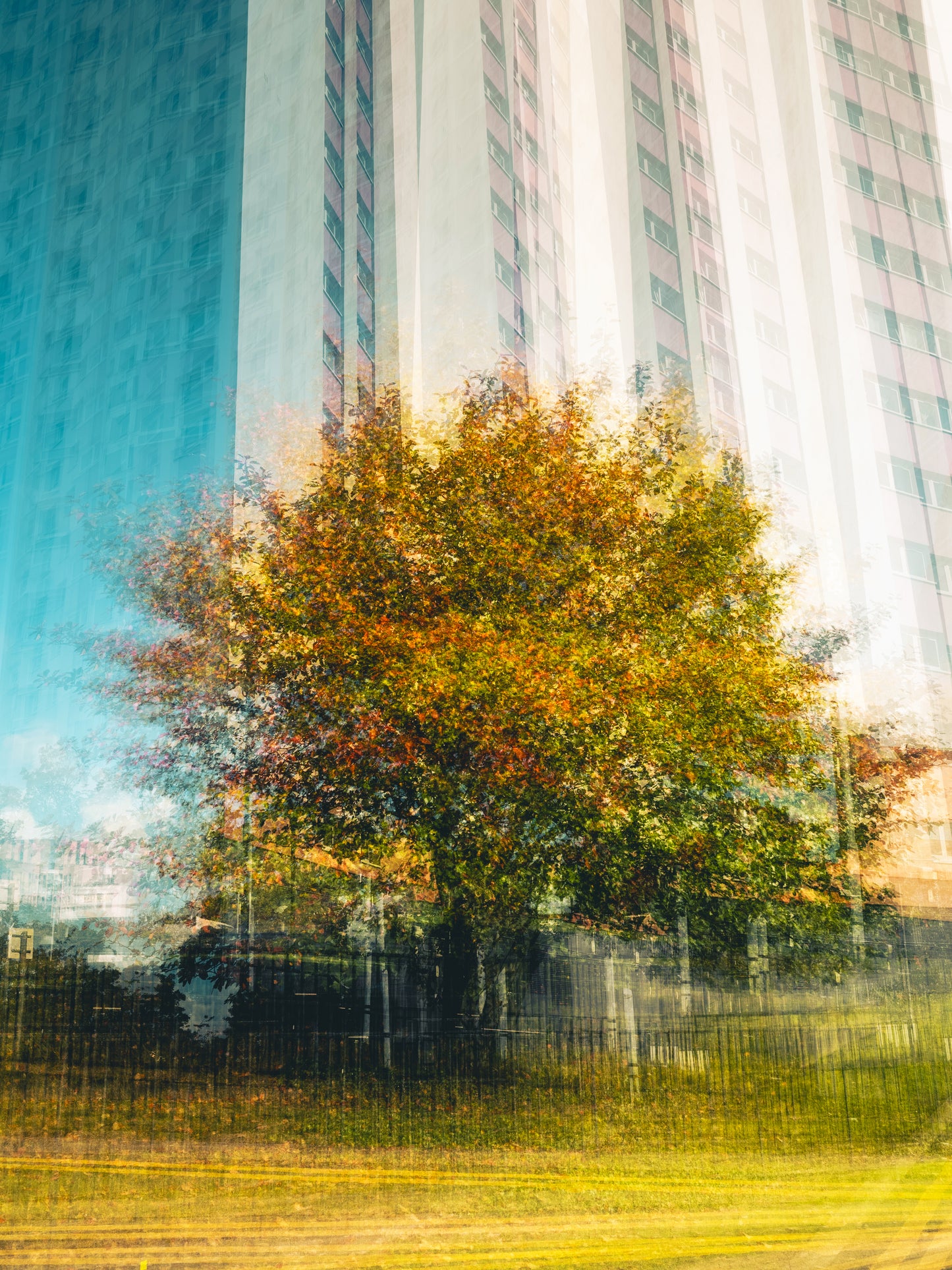 The Quiet Between Walls