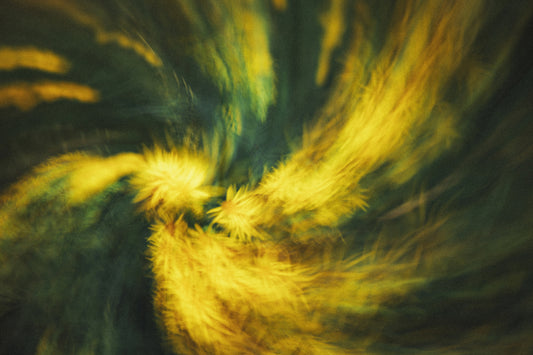 Golden Whirl