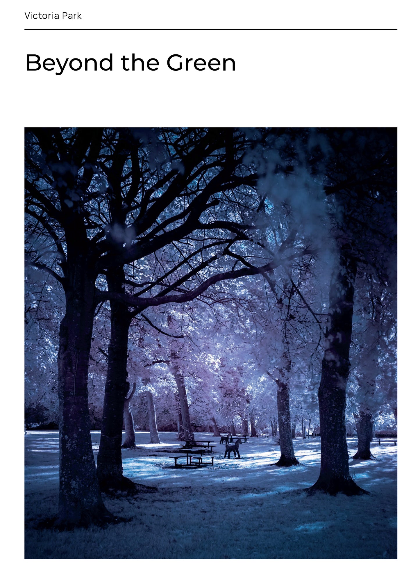 Victoria Park – Zine 1 – The Beginning of Memory