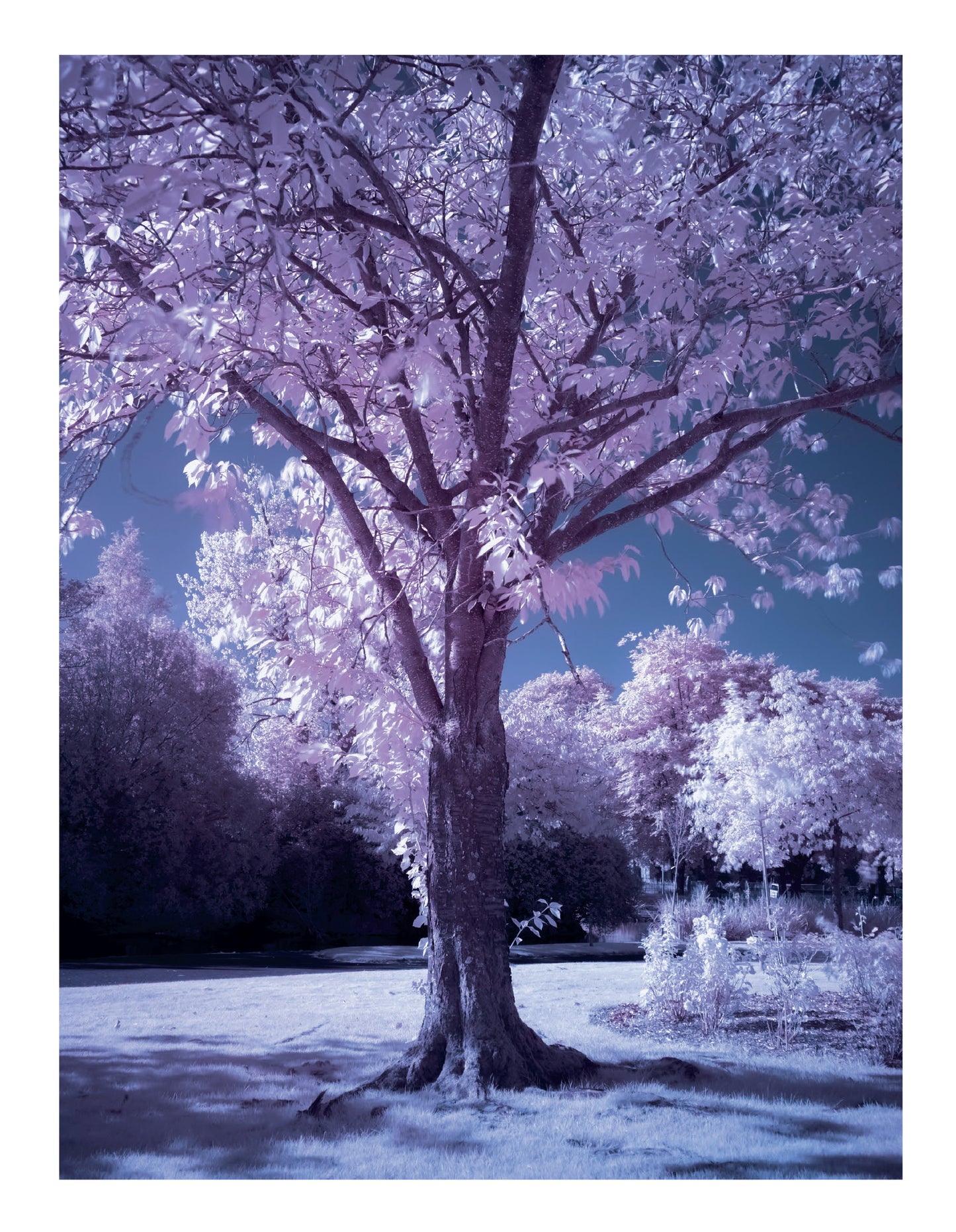 Victoria Park – Zine 1 – The Beginning of Memory