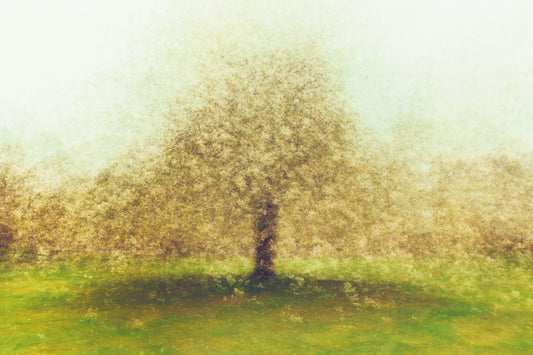 Dear yellow
