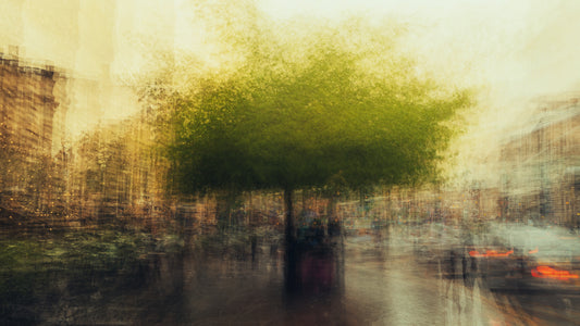 Memory of a Green Tree