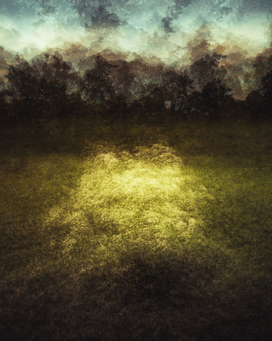The Last Light