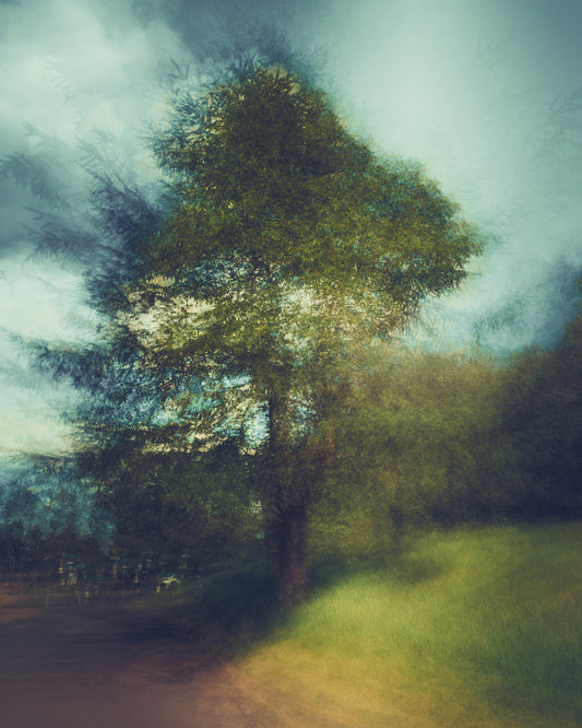 The Breathing Tree