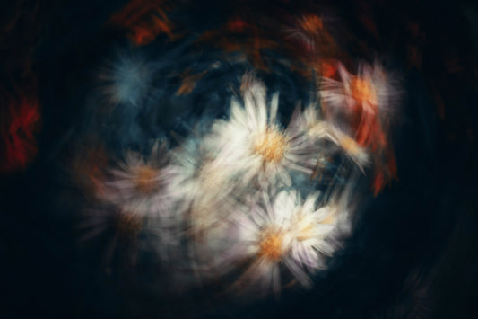 Nebula Botanica