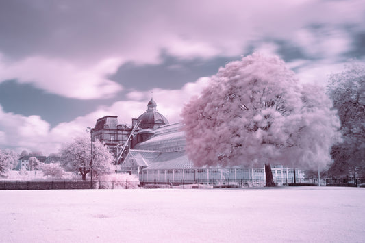 The Pink Glasshouse