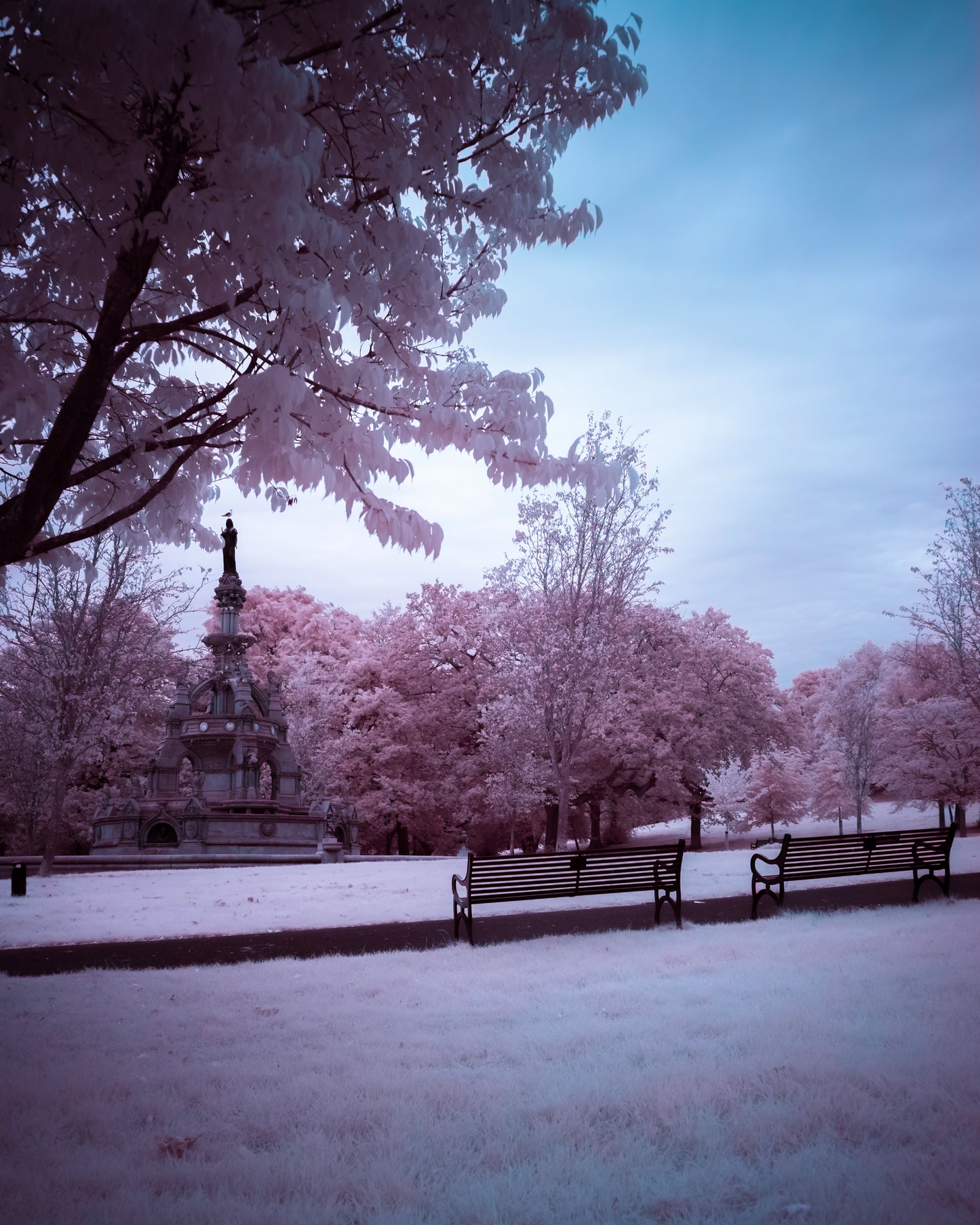 Kelvingrove - Zine 2 – Paths and Reflections