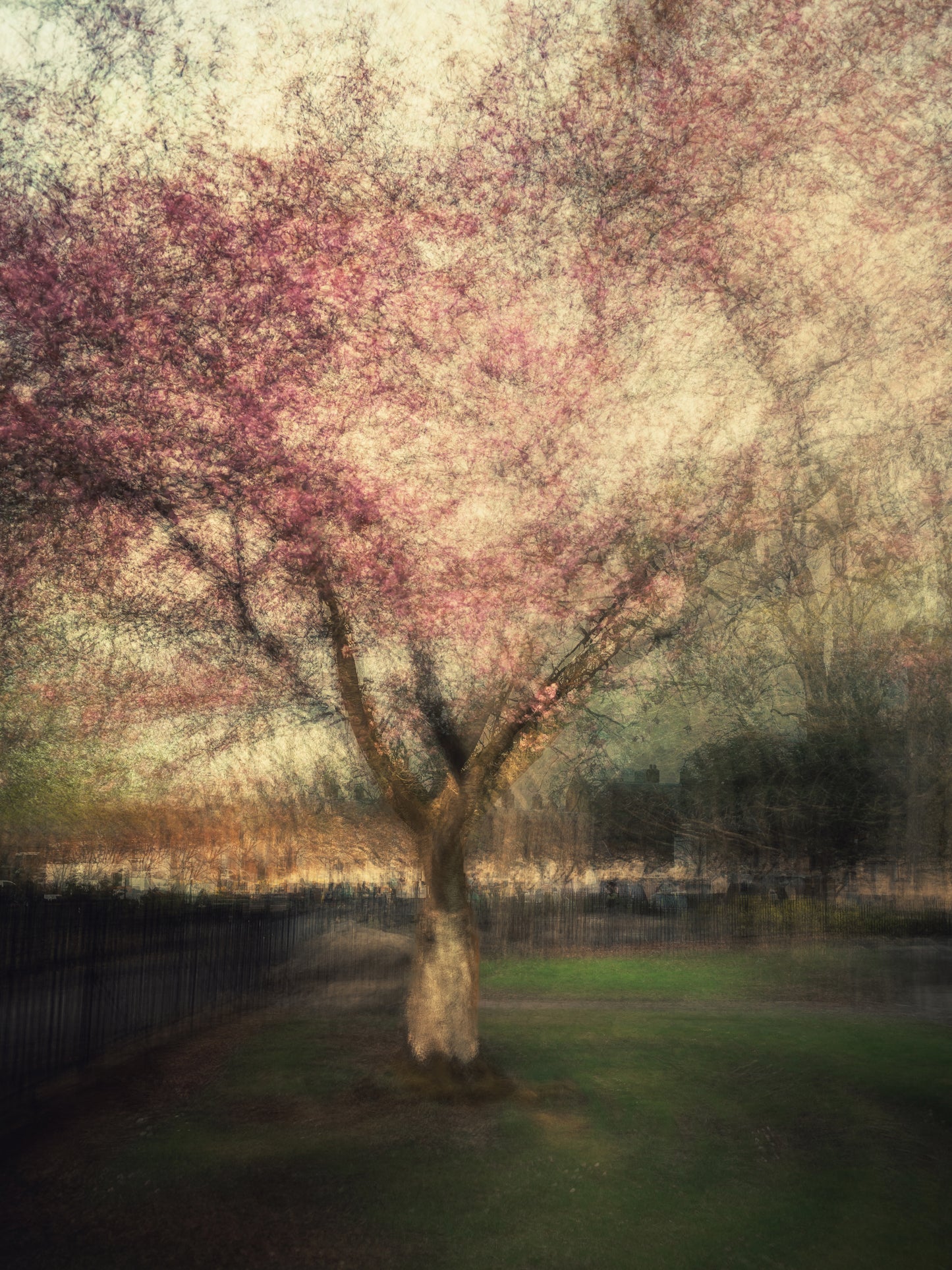 Bloomfall