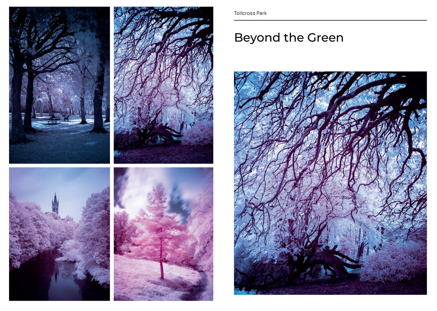 Tollcross Park – Zine 4 – Memory and Transformation