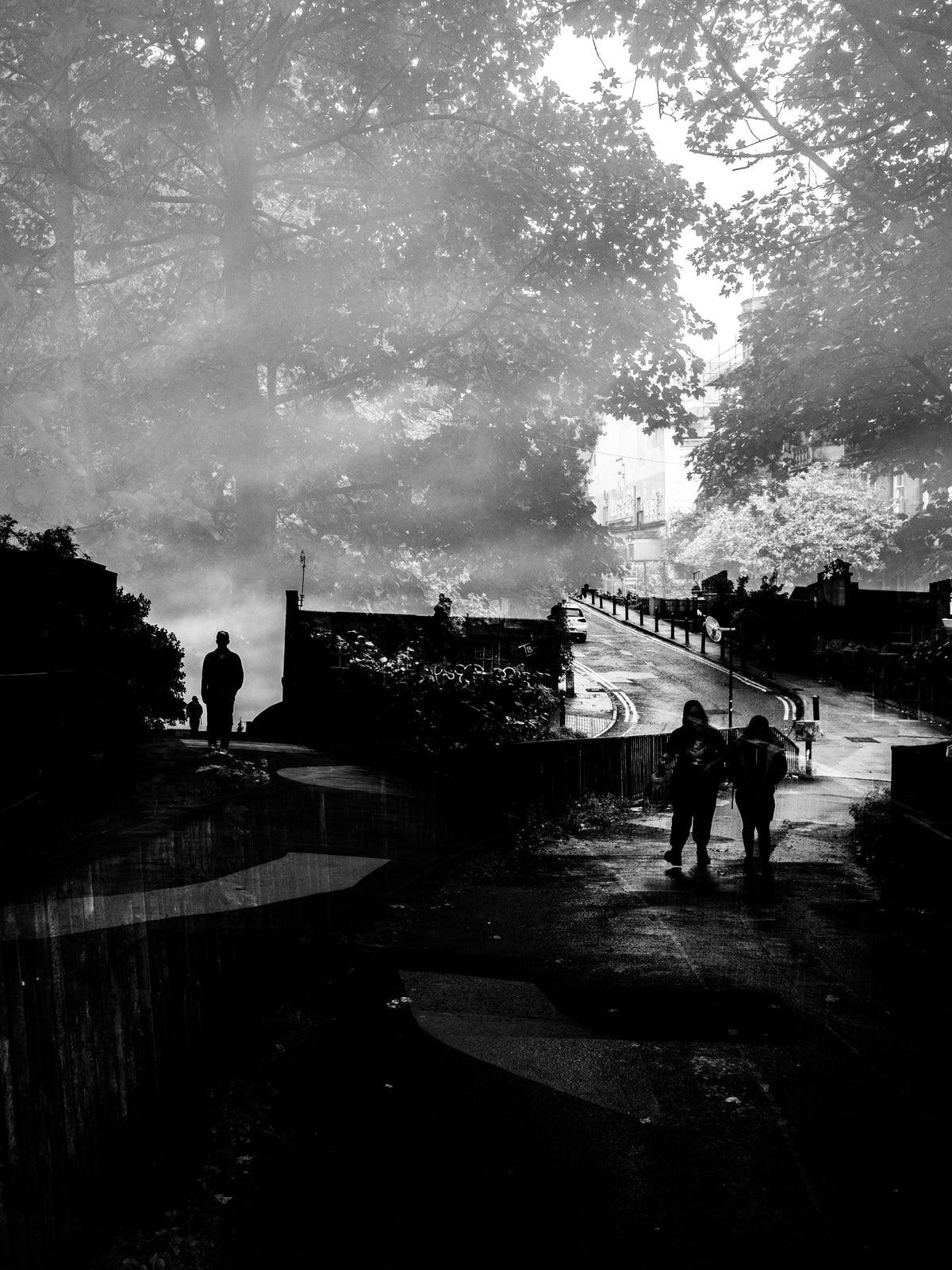 Disarray